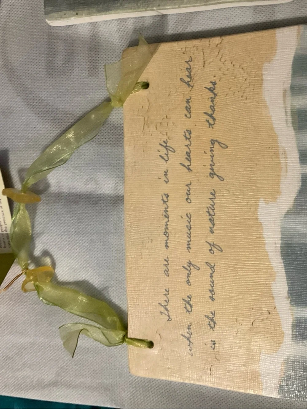 Silvestri Sheer Sage Green Ribbon Necklace